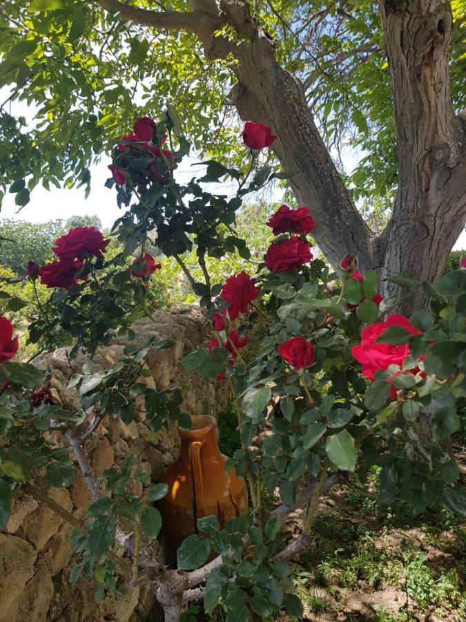 Trullo Del Cavaliere Delle Gravine Villa Castellaneta Eksteriør bilde